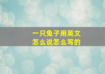 一只兔子用英文怎么说怎么写的