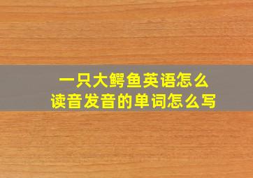 一只大鳄鱼英语怎么读音发音的单词怎么写