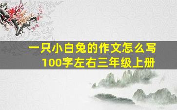 一只小白兔的作文怎么写100字左右三年级上册