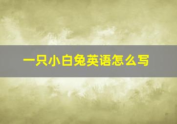 一只小白兔英语怎么写