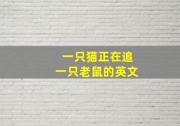 一只猫正在追一只老鼠的英文