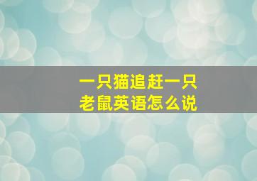 一只猫追赶一只老鼠英语怎么说