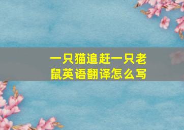 一只猫追赶一只老鼠英语翻译怎么写