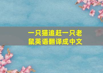 一只猫追赶一只老鼠英语翻译成中文