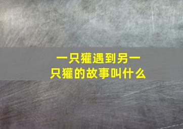 一只獾遇到另一只獾的故事叫什么