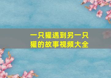 一只獾遇到另一只獾的故事视频大全