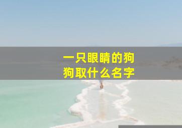 一只眼睛的狗狗取什么名字