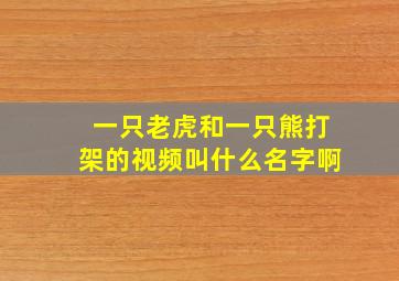 一只老虎和一只熊打架的视频叫什么名字啊