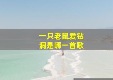 一只老鼠爱钻洞是哪一首歌