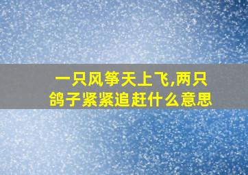 一只风筝天上飞,两只鸽子紧紧追赶什么意思