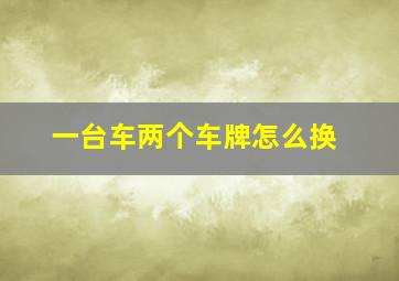 一台车两个车牌怎么换