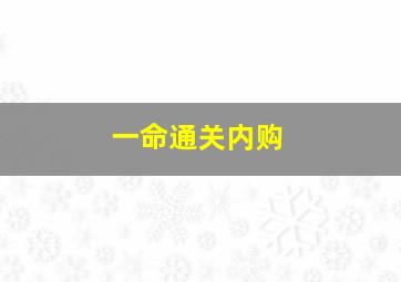 一命通关内购