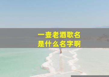 一壶老酒歌名是什么名字啊