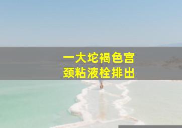 一大坨褐色宫颈粘液栓排出