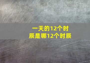 一天的12个时辰是哪12个时辰