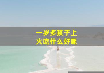 一岁多孩子上火吃什么好呢