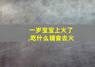 一岁宝宝上火了,吃什么辅食去火