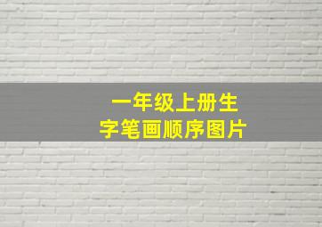 一年级上册生字笔画顺序图片