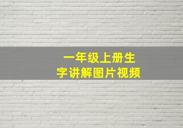 一年级上册生字讲解图片视频