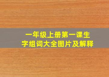 一年级上册第一课生字组词大全图片及解释