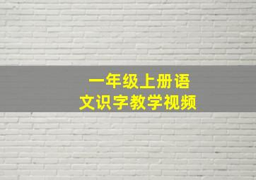 一年级上册语文识字教学视频