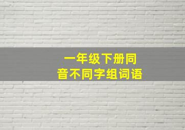 一年级下册同音不同字组词语