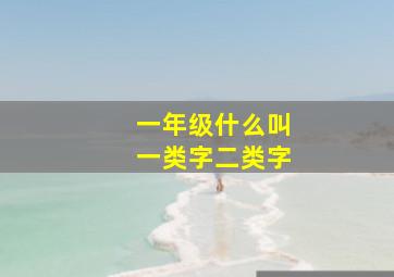 一年级什么叫一类字二类字