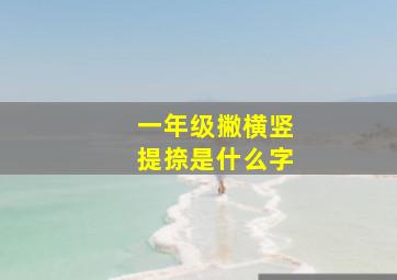 一年级撇横竖提捺是什么字