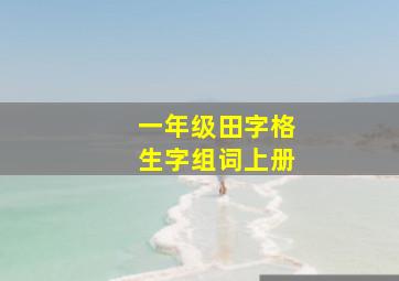 一年级田字格生字组词上册