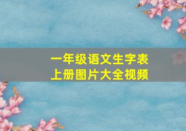 一年级语文生字表上册图片大全视频