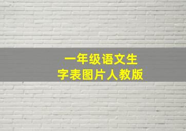 一年级语文生字表图片人教版