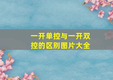 一开单控与一开双控的区别图片大全