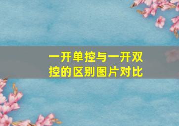 一开单控与一开双控的区别图片对比