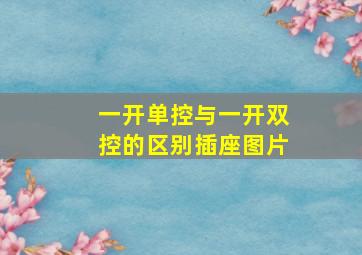 一开单控与一开双控的区别插座图片