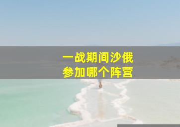 一战期间沙俄参加哪个阵营