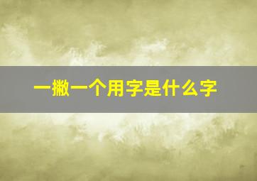 一撇一个用字是什么字