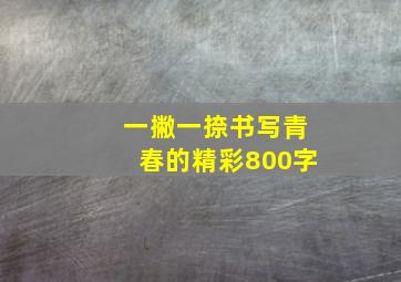 一撇一捺书写青春的精彩800字