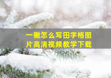 一撇怎么写田字格图片高清视频教学下载