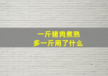 一斤猪肉煮熟多一斤用了什么