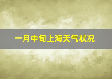 一月中旬上海天气状况