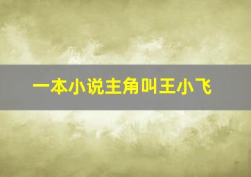 一本小说主角叫王小飞