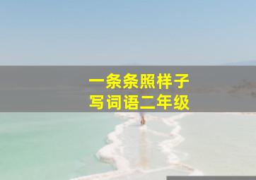 一条条照样子写词语二年级