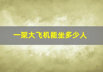 一架大飞机能坐多少人