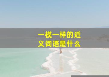 一模一样的近义词语是什么