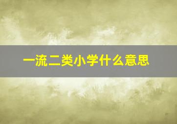 一流二类小学什么意思