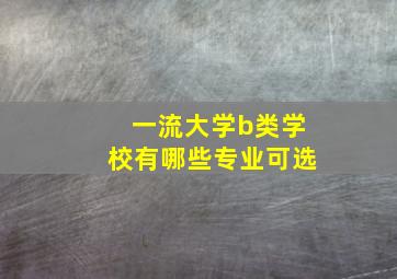 一流大学b类学校有哪些专业可选