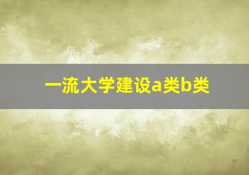 一流大学建设a类b类