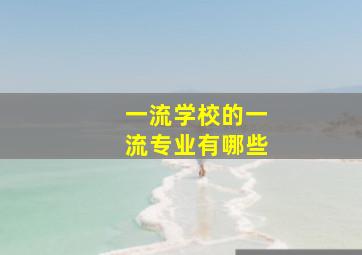 一流学校的一流专业有哪些