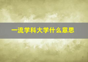 一流学科大学什么意思