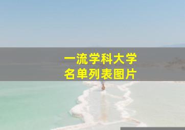 一流学科大学名单列表图片